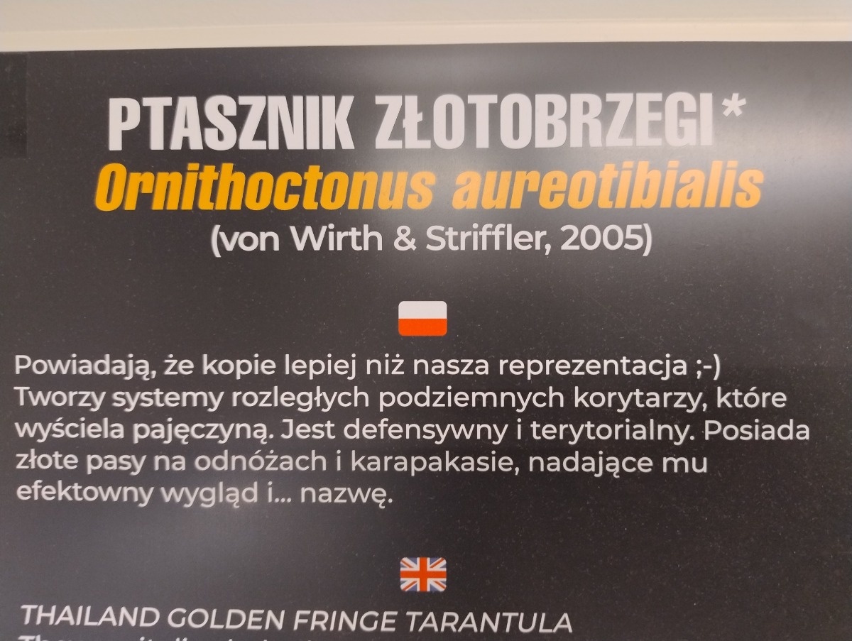 65215551-1fa9-457a-b1b3-b23ae302b856