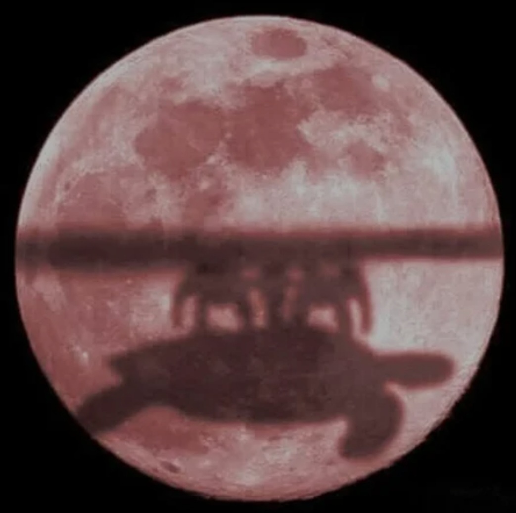 46caa4bb-f3a6-4800-9eb0-5b7d78f48a73