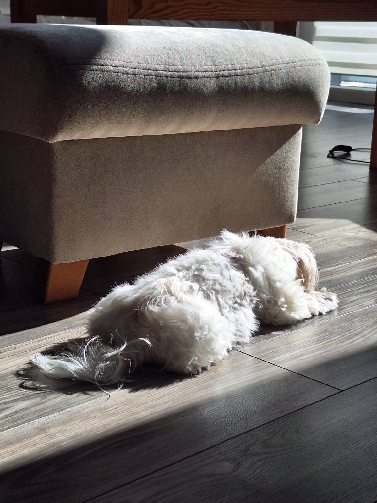 866a7c56-6252-4016-b232-b5e108966e6f