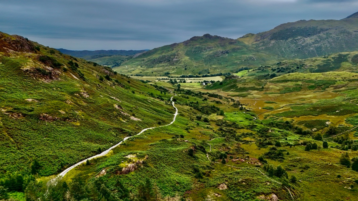 b40f3b19-e718-4772-8f4f-84189b2eae6d