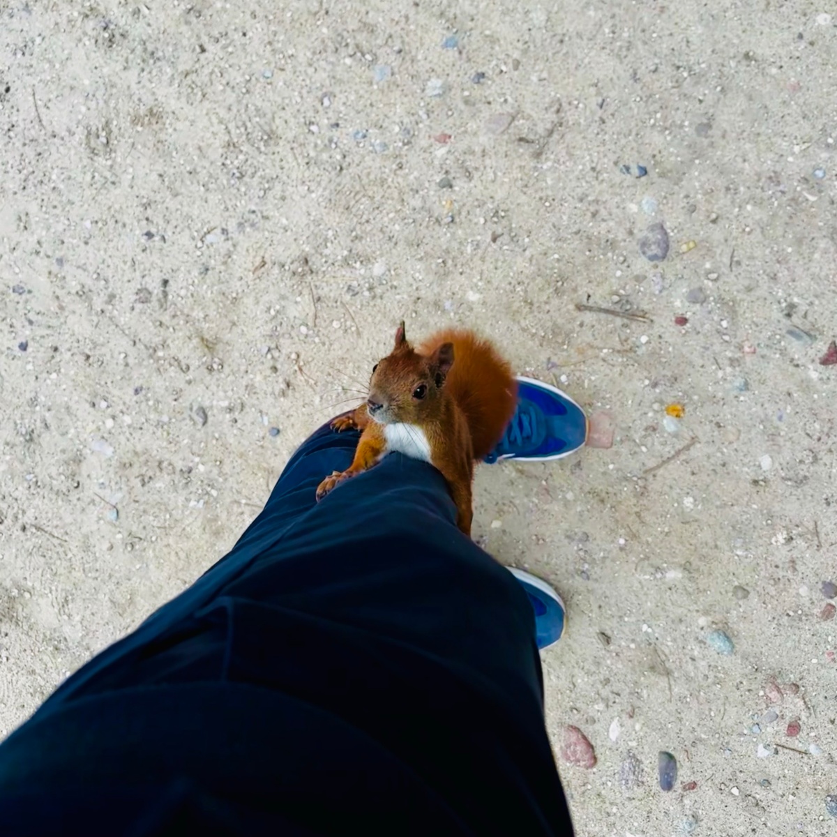 83f914a0-cffd-40bf-aa3b-5b3b7c805f79