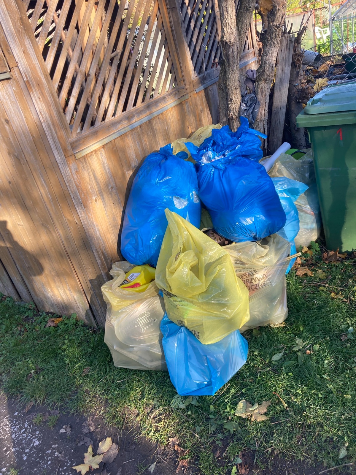 25e589c9-f603-4490-97bc-7c1607e012b5