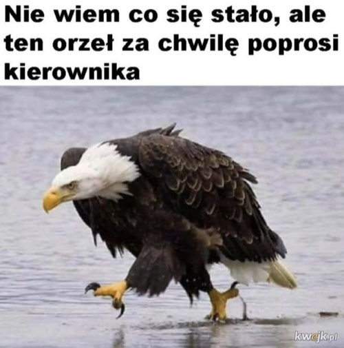 2cea7a2d-4df5-4045-b3dc-af40a8a2e608