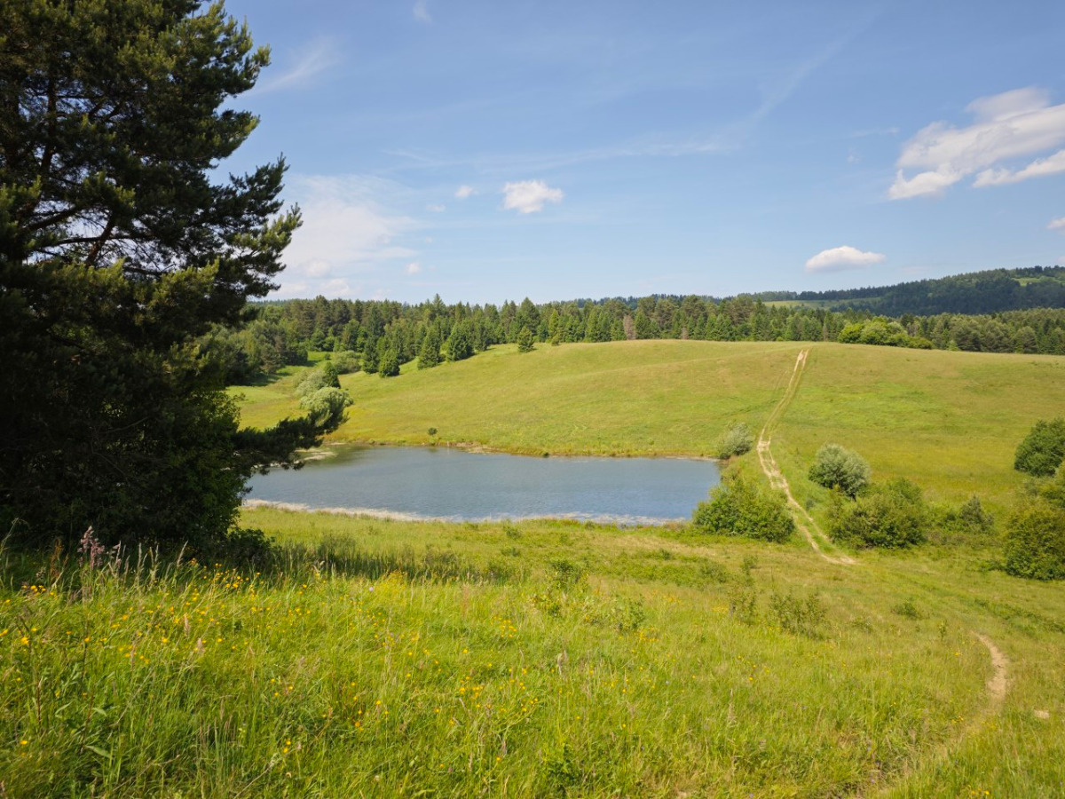 46a1b19d-467e-4c5f-9122-dc4e539ec916