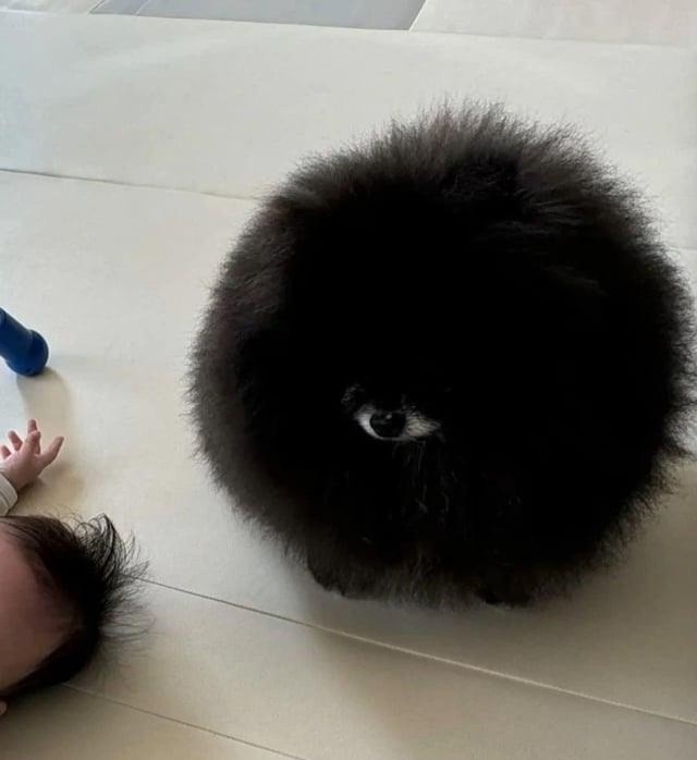 5c4d7298-1884-46c9-9027-251922898f9f