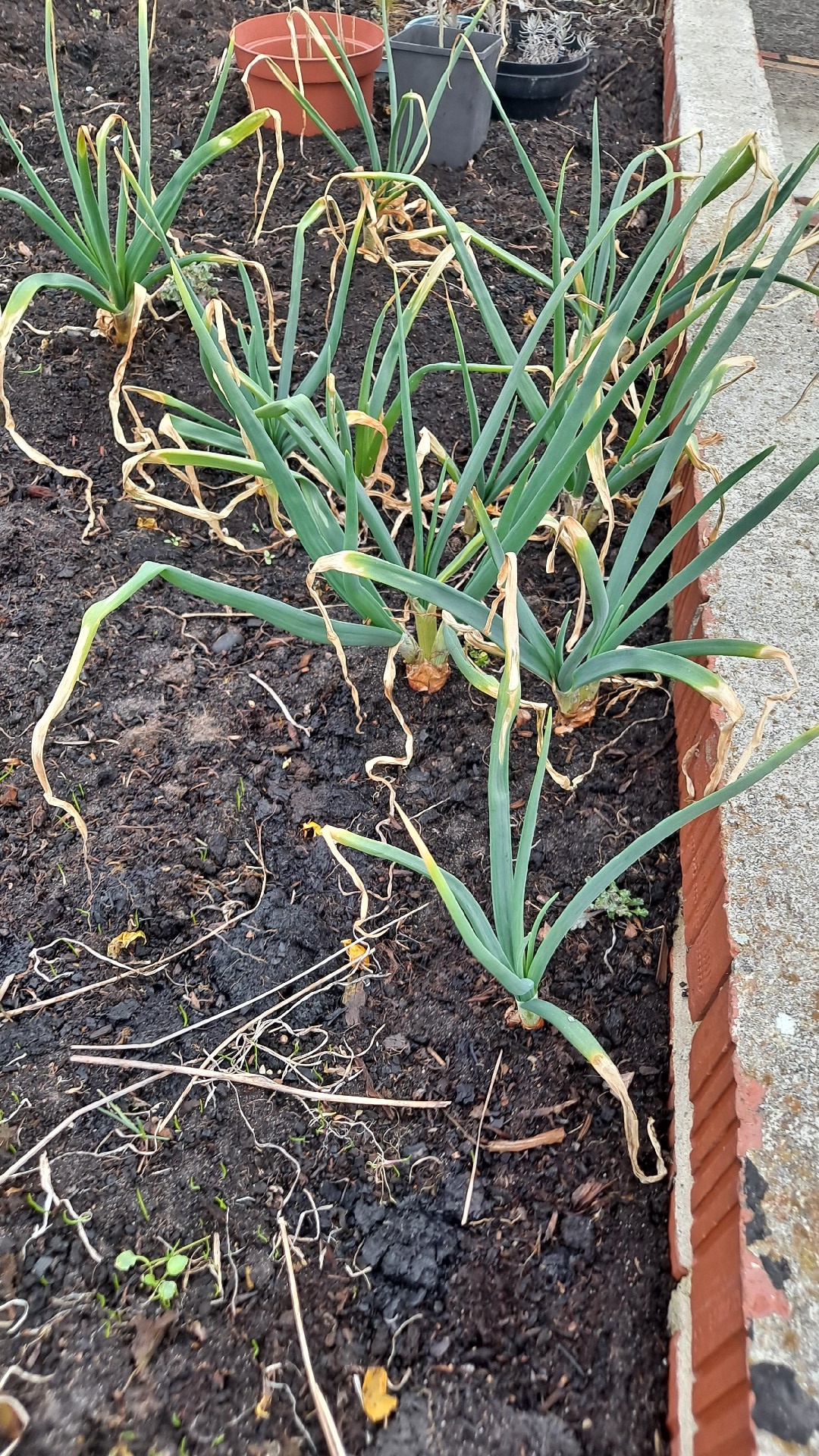 fced8352-946b-45ab-81c4-1602ffd98d72