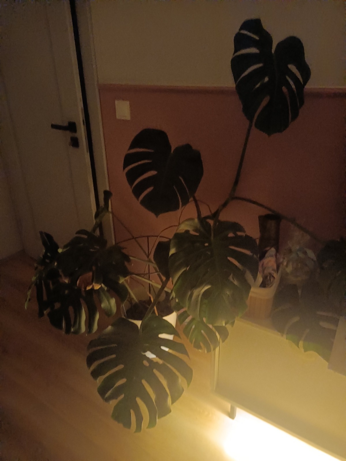 b7d15bcc-4995-45d2-aef1-5fbd41cce4ff