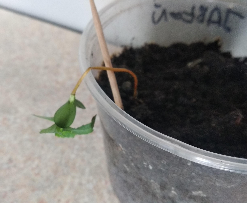 e3dca813-c71c-47f4-a8e9-9674981ead62