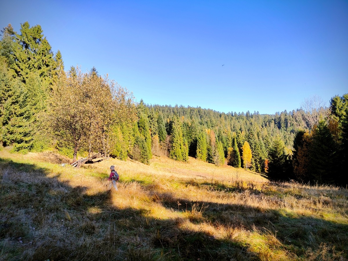 30280329-04fc-47fe-9307-da31b434aa75