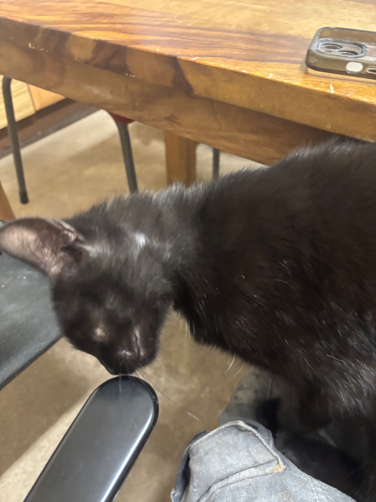 c51a10f2-5541-4198-8bbb-7c713d8061d6