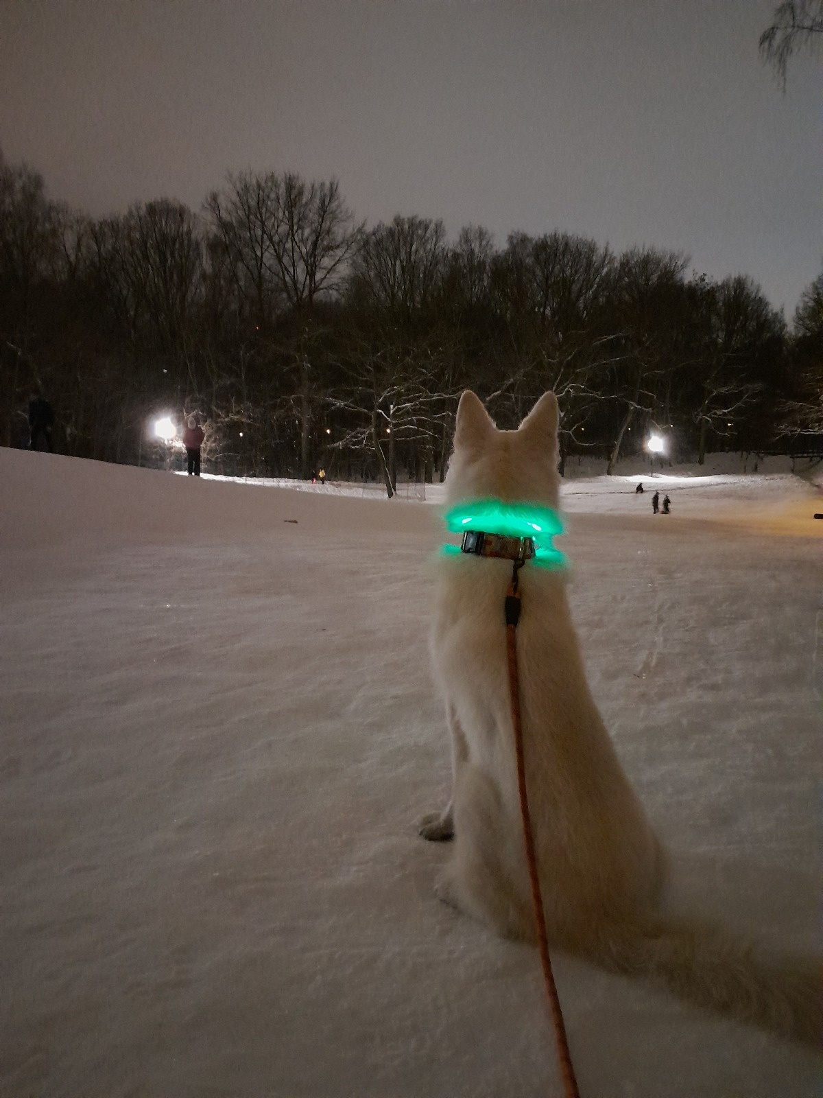 ccdec720-039a-463e-9caf-892c755b06bb