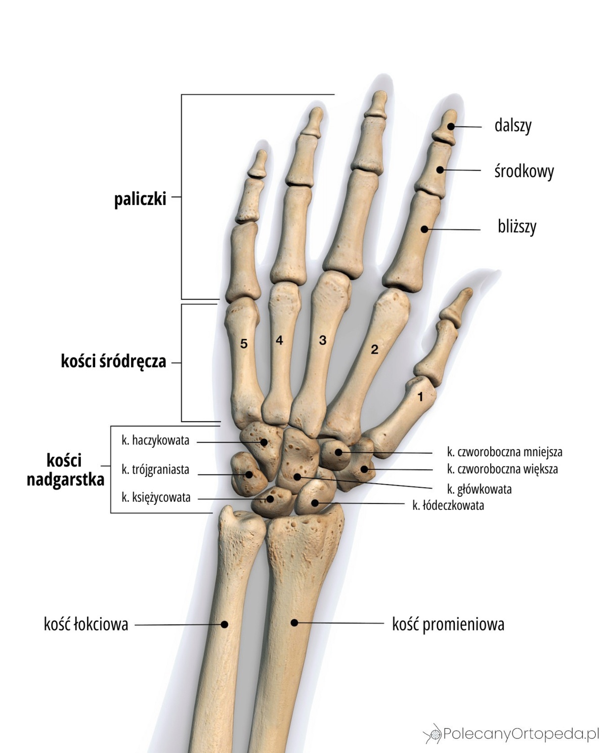 67de3ed8-4eee-4e51-8416-5d3535d331ed