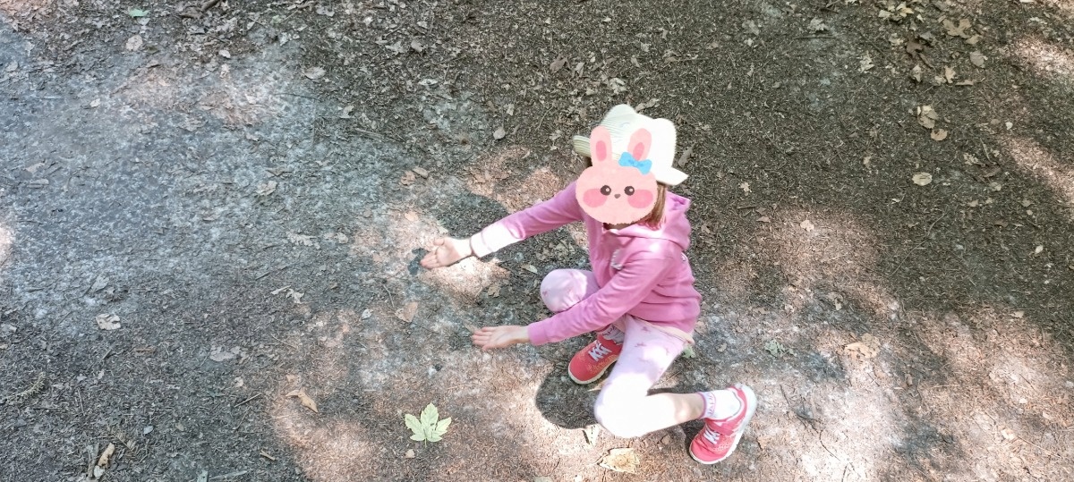 de745365-935e-4aa0-a808-4dde47bcfc0f