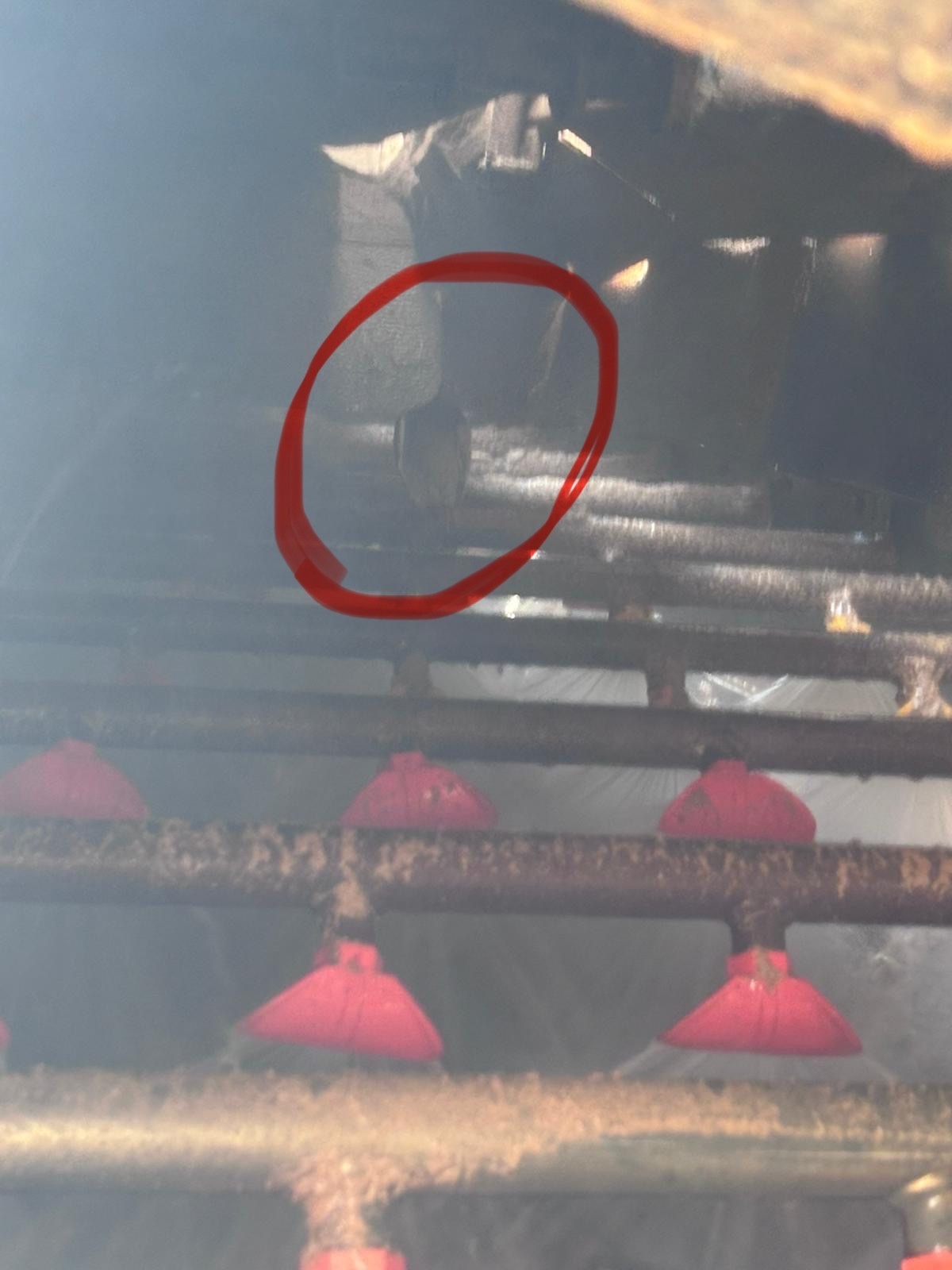 8ebaba85-e63b-41dc-a292-b7ef73d711bc