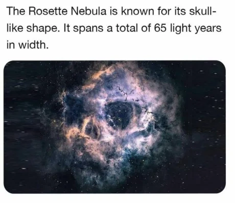 445d69c8-e37c-4ea0-b3c1-b36f9bc765ff