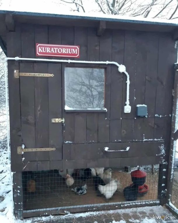 afd16ae4-510d-4496-80bb-ee9892157461