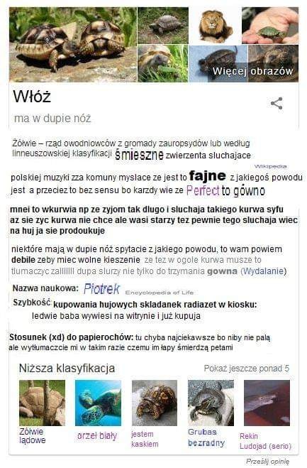 89be2e1a-fdac-4dad-8b5a-6229474f679a