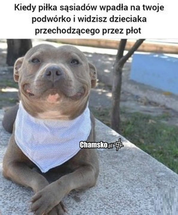 e64ecfe9-872f-4285-9233-08b57ba74e30