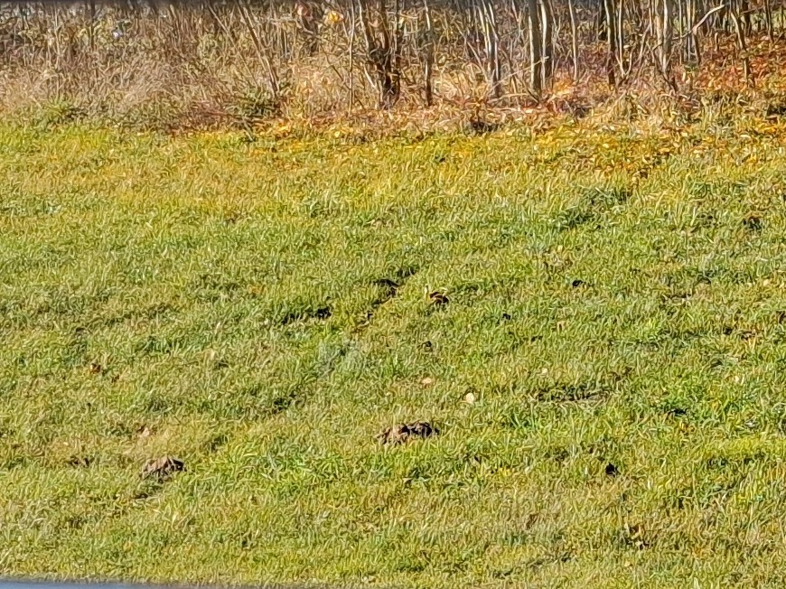 b9bb6f27-8e2d-4f0d-9267-b7be5a8fd06e