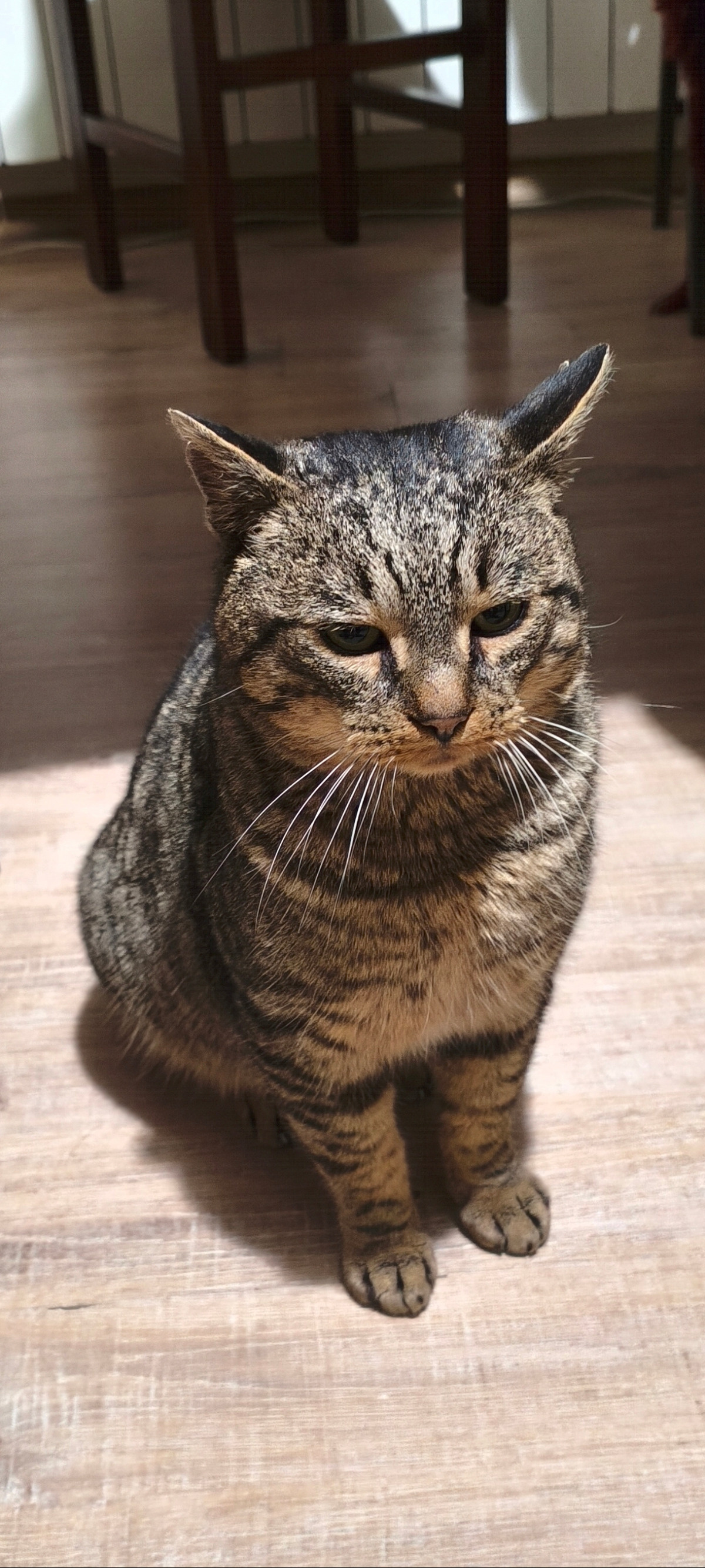 cd784fa4-d2e1-4e38-afd0-de1df14e2d8f