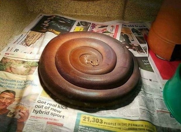 7a2f22c0-c1f5-4387-9346-b554261dd463