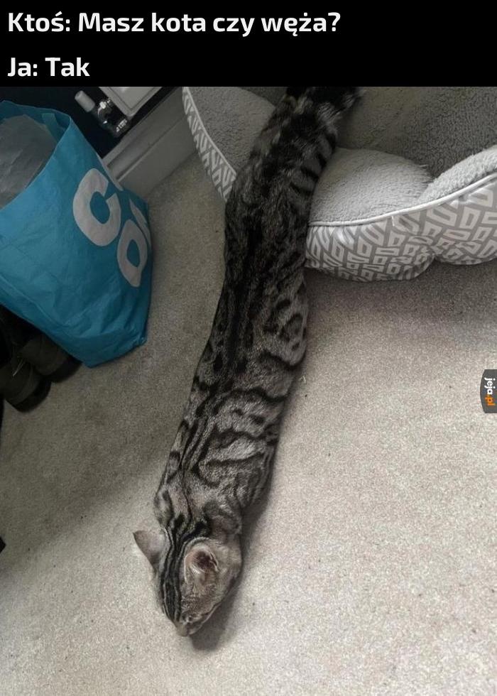 981f9fb7-c8b8-44ac-a00b-dbdf6d6a04e7