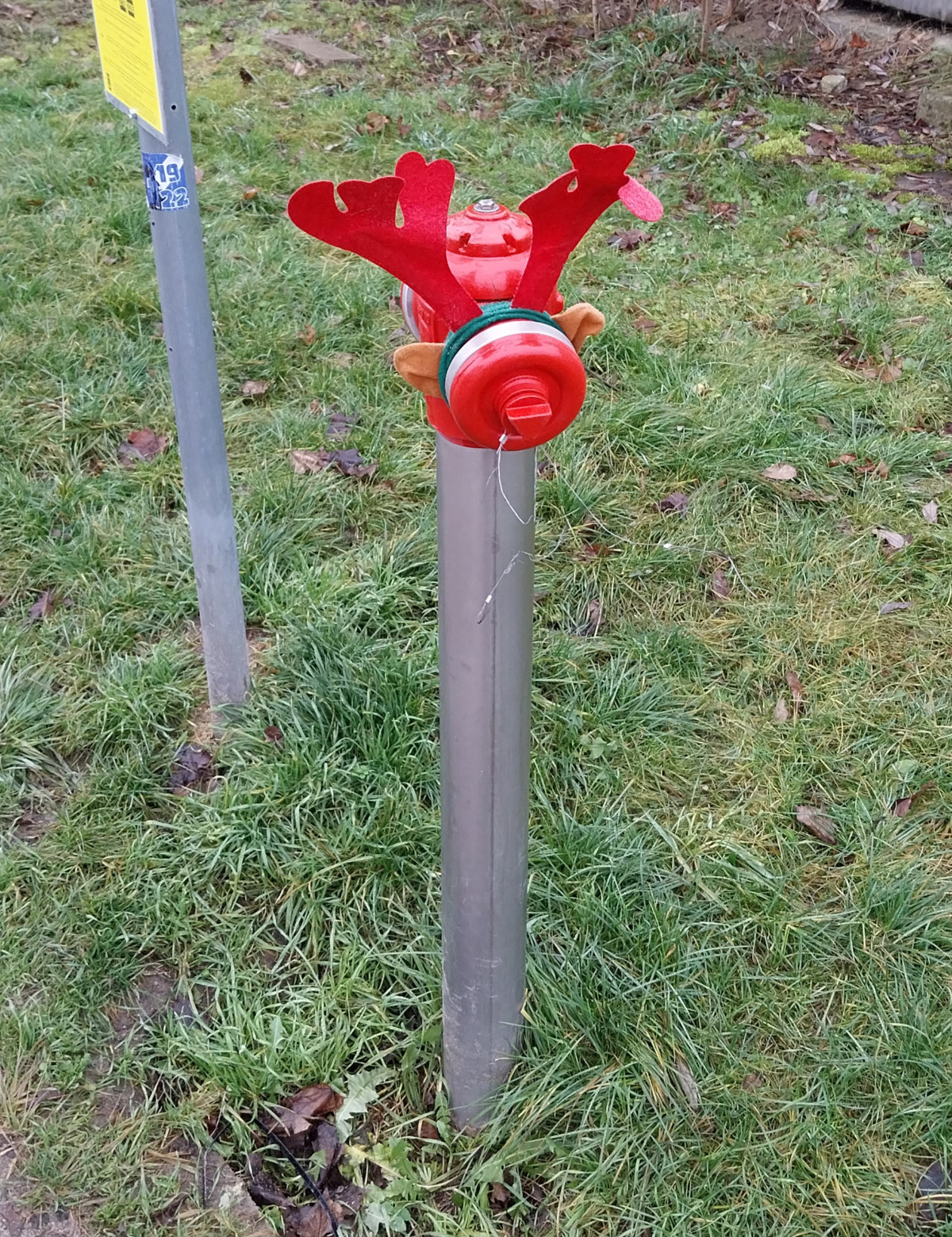 9a0daaca-00bc-4973-9c7c-768805c0614f