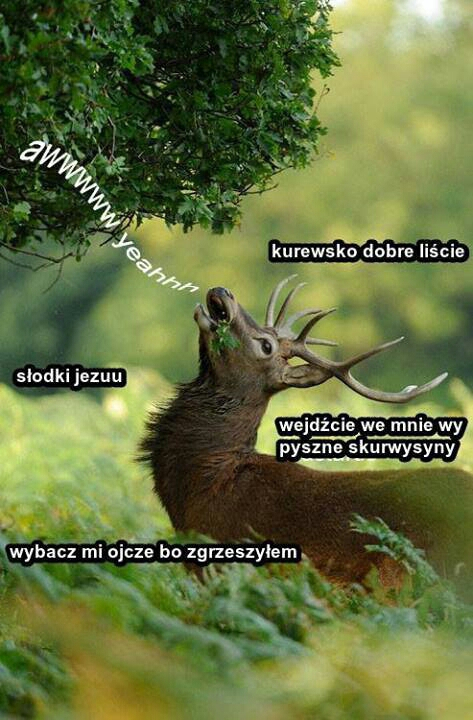 3bfc0ca4-23be-4cb4-8a9a-12a5d80b4747