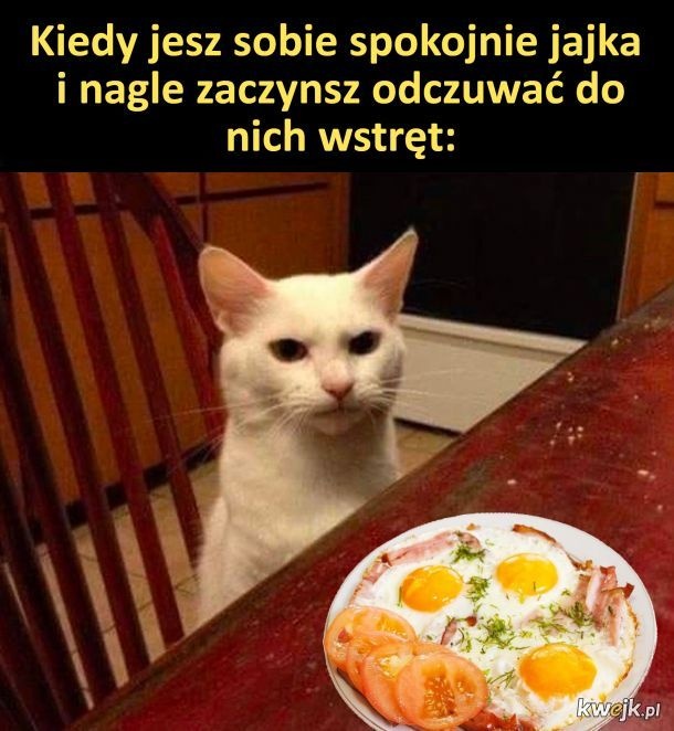 566d0e2d-e882-46f5-a844-73028652d46d