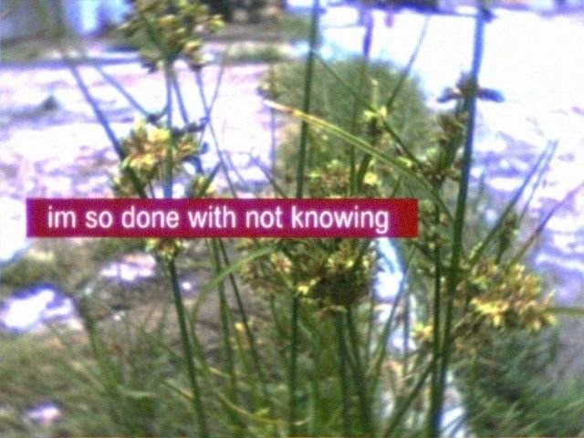 66fffd20-4980-40b4-9812-cfef269ed0d1