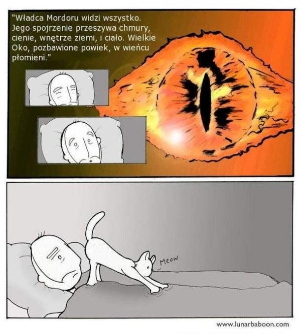 e7b5d483-238c-4fd3-8eba-8ea73e6f1544