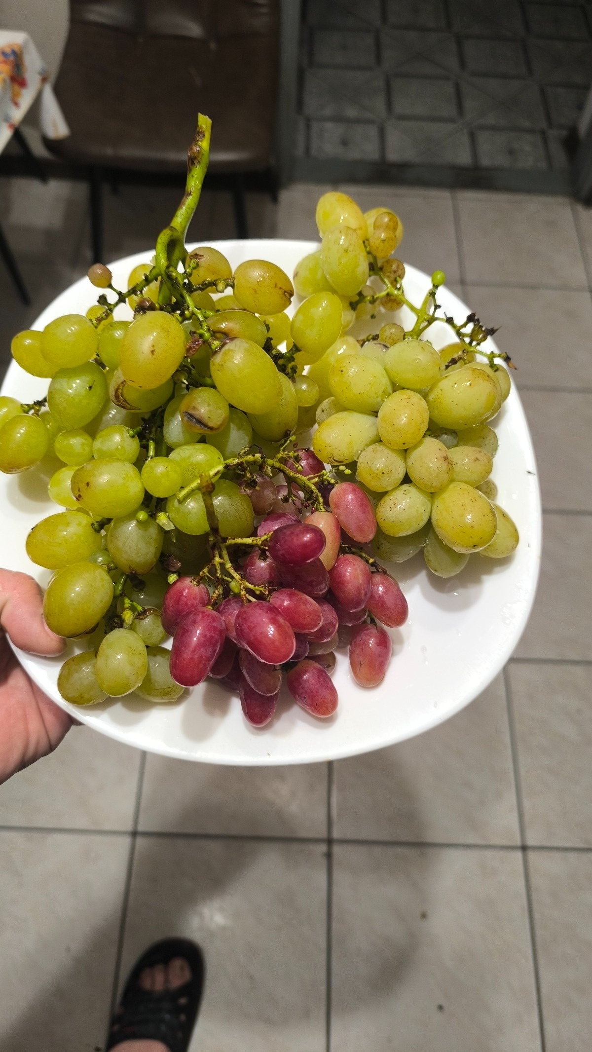 4893a3f1-9ed7-4a44-8aea-3e9ce2d324ef