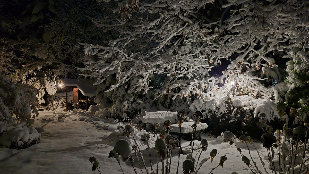 213ddf0b-ace3-4b25-aa55-97774cbbe31c