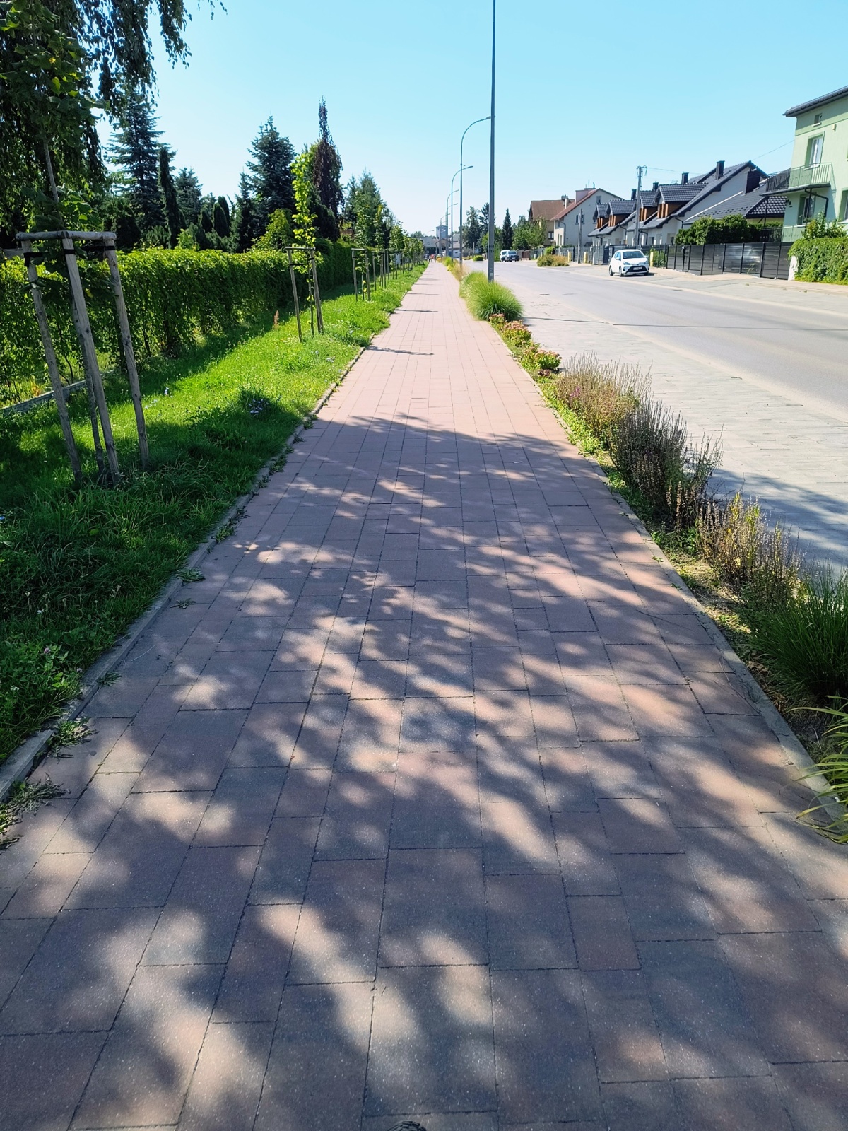 b9c0efe7-b713-4628-ba47-e40d01584266