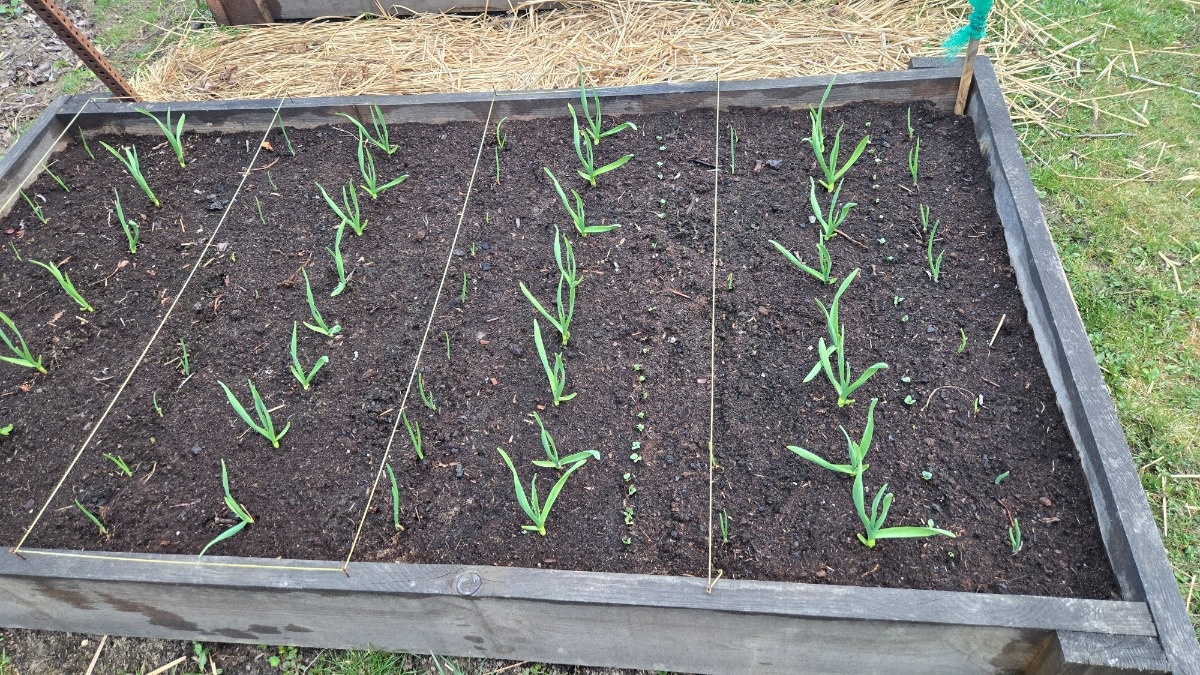 7298ee66-fdcf-4bb7-9dce-8765c59bbf28