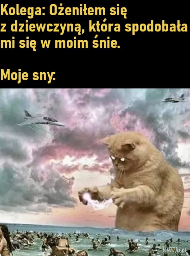 c6498bb4-fb1c-48b5-94d9-913538bf09eb