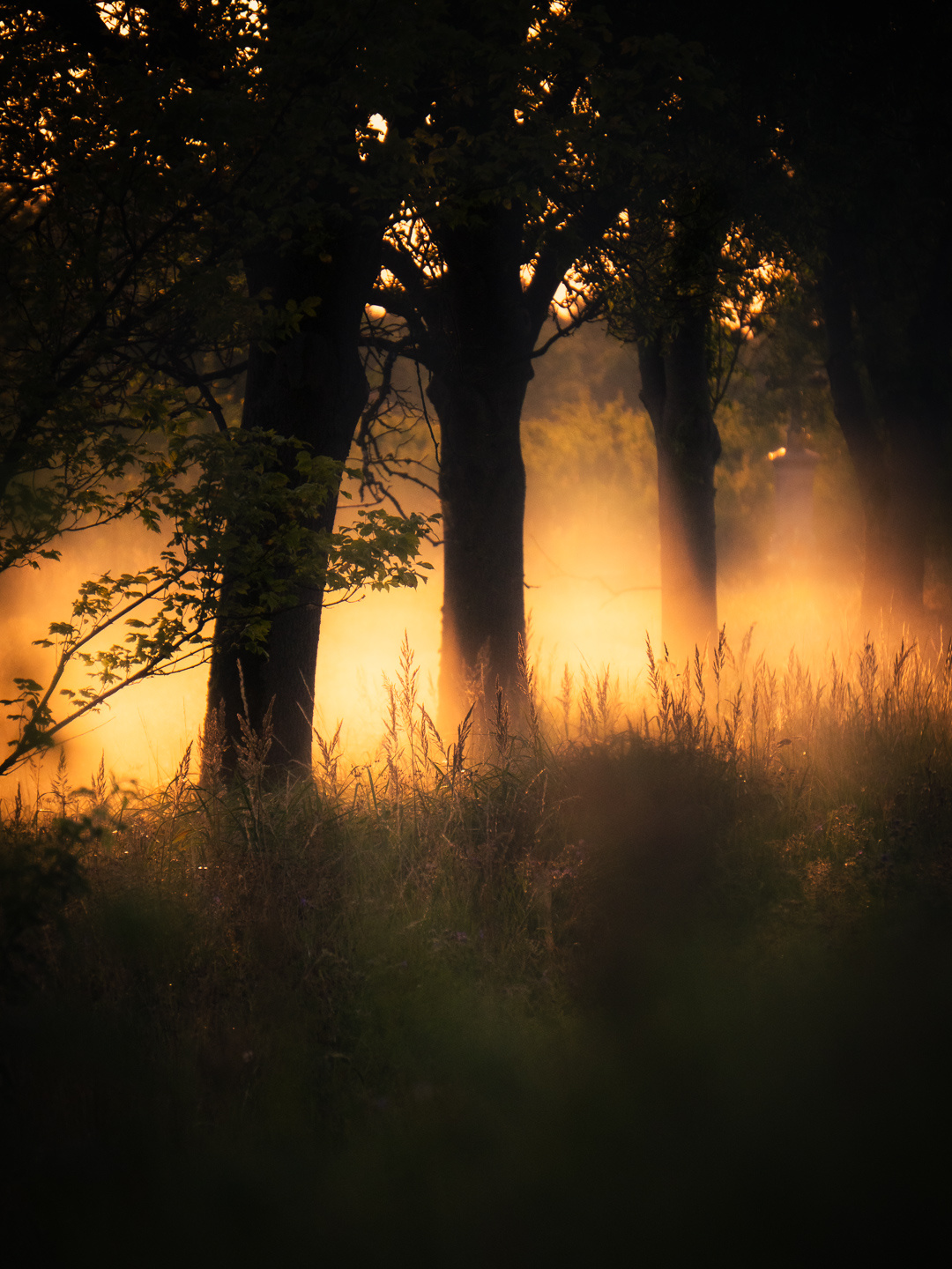 c3e861ff-0b30-40c3-ad0b-547fdde2a3bb