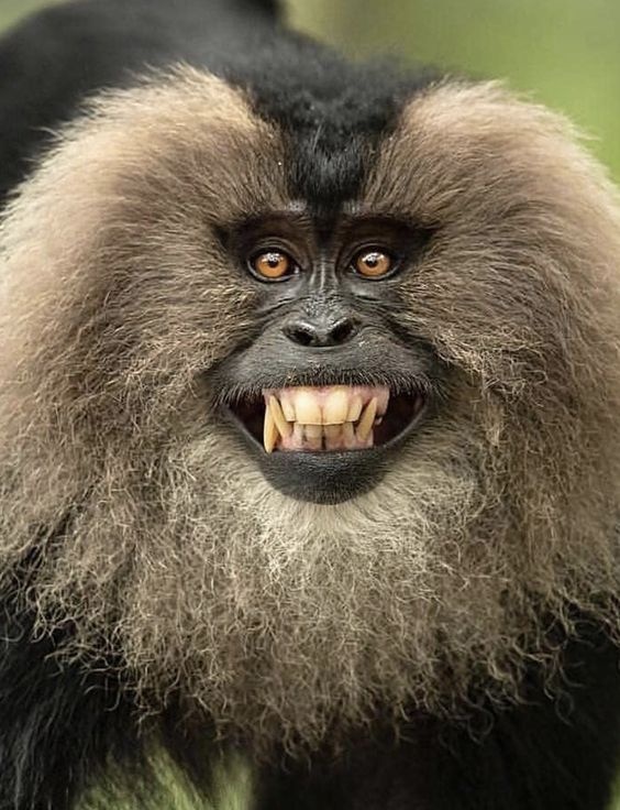 309ef375-2af0-4691-b48e-a79416772707