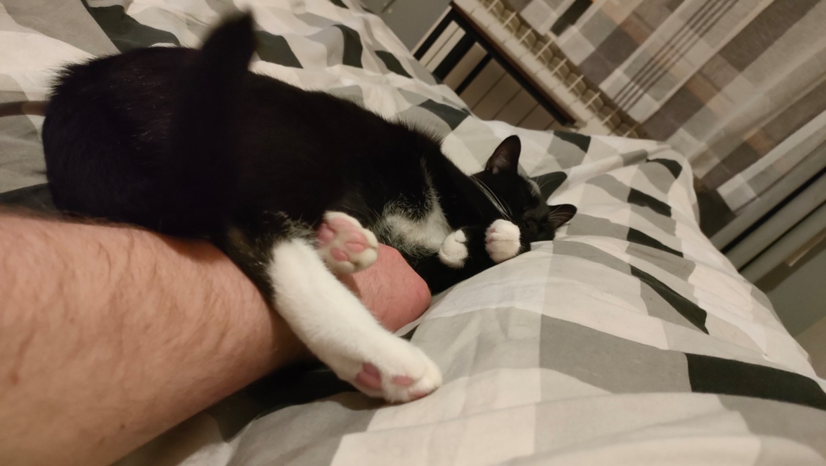 d5626fb1-18ec-44b9-8054-05badf37d706