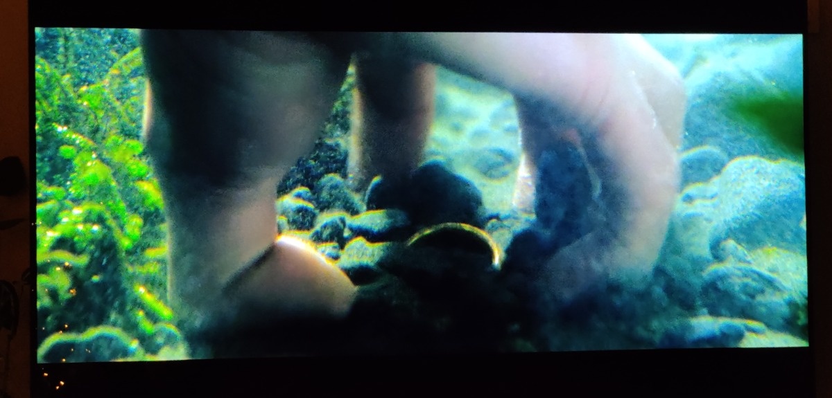 bf4009e1-dc6b-4c8f-88c8-07529d66894e