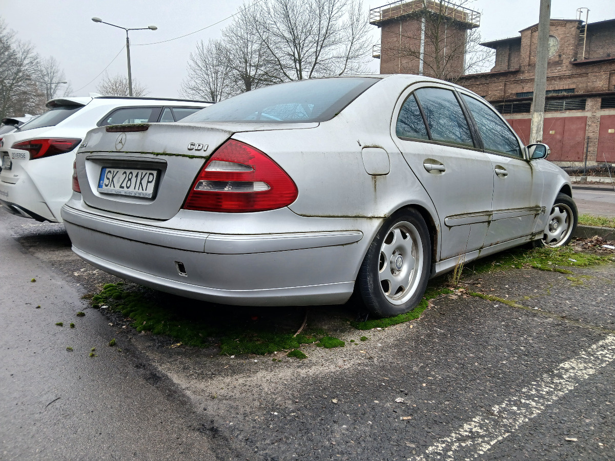 cfccd555-9296-40a2-899a-53ec558235f4