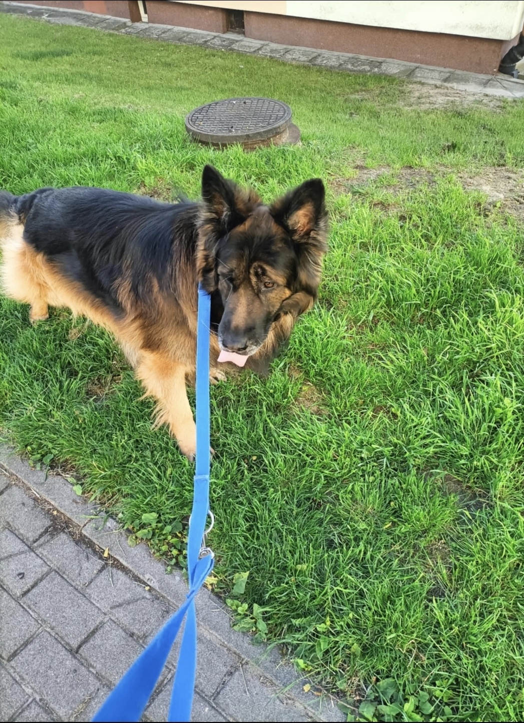 29925e52-0c48-49ac-b37c-32110c2b1185