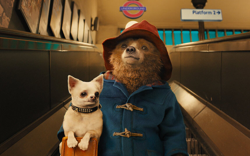 Paddington 3 - wiemy, kiedy ruszą zdjęcia. Co jeszcze ujawniono w Cannes?