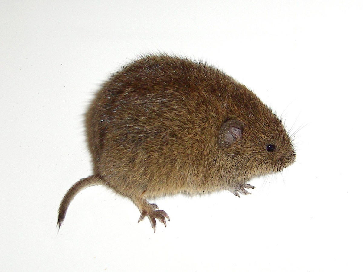 abf7a3a4-f479-49c2-a32d-7231e567dda2