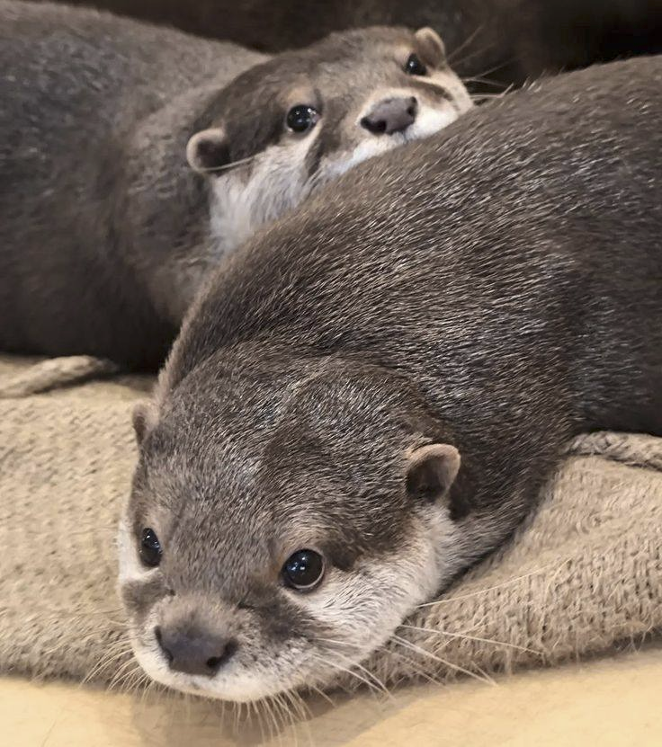 3b7ef12c-8e91-42c6-ba1f-7fc6fbd94b16