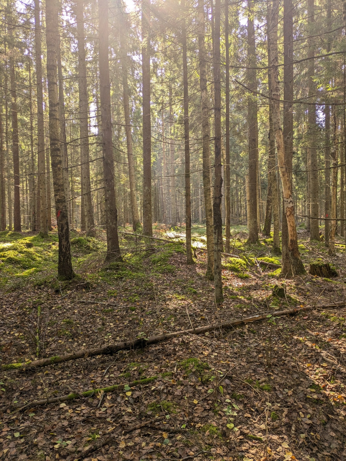 41bafeec-f747-4c26-a2b8-f80e2ec32fee