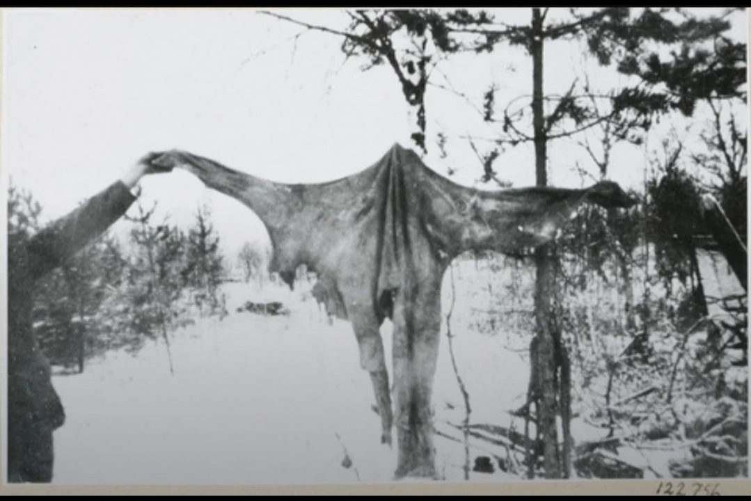 93570590-0c50-4795-9ec5-7c42b5eff3c3