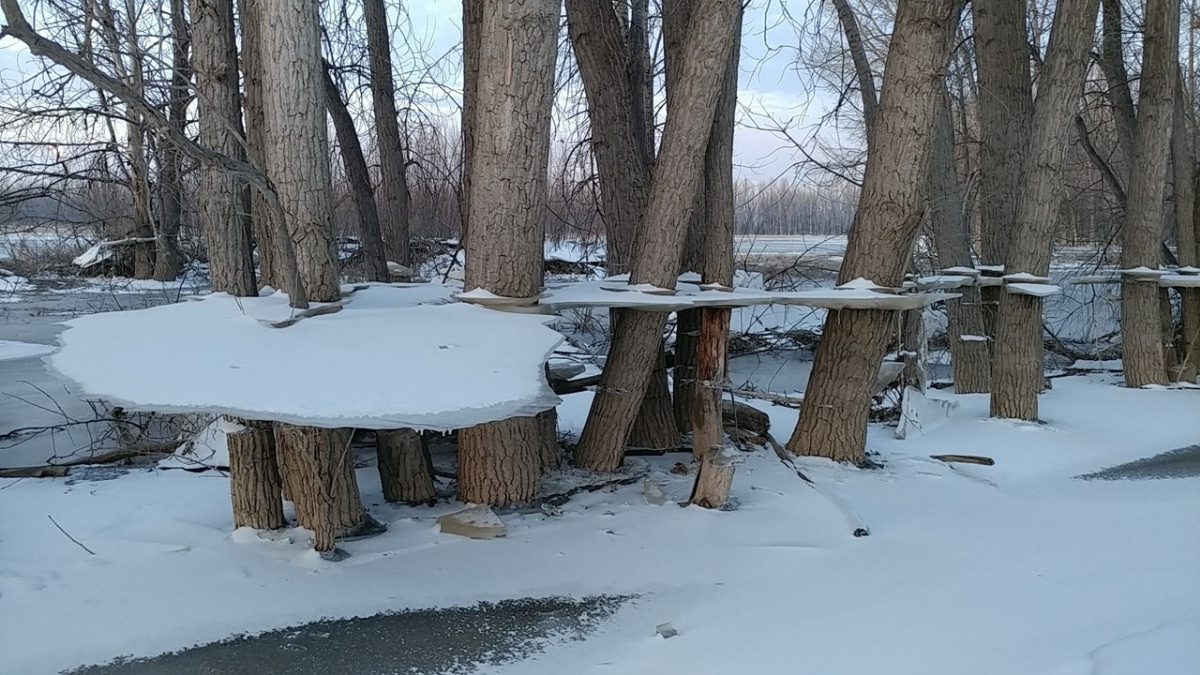 56fa4af3-22d8-4e63-bd30-d7d6abdcc372