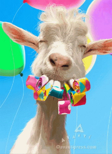 a8481f8f-4dfa-46ed-a93e-9ffce6e2ad9e