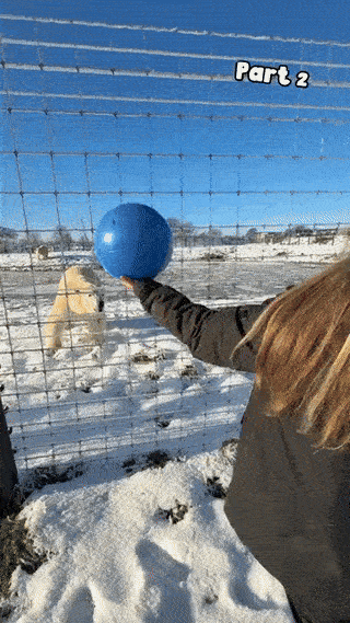 ab787a54-ecd4-4375-9085-16d7b47d82d6